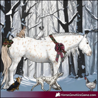 Horse Color:Red Dun Leopard  and Red Dun Near Leopard 