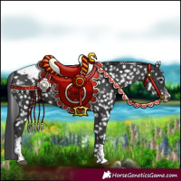 Horse Color:Black Tobiano Appaloosa