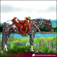 Horse Color:Black Tobiano Appaloosa