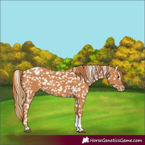 Horse Color:Chestnut Tobiano Snowflake Varnish