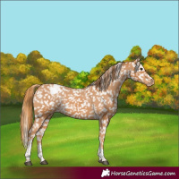 Horse Color:Chestnut Tobiano Snowflake Varnish