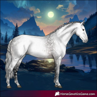 Horse Color:Gray Bay Tobiano Snowflake Varnish