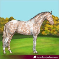 Horse Color:Chestnut Tobiano Snowflake Varnish