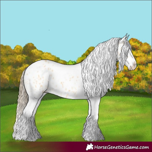 Horse Color:Buckskin Splash Tobiano Appaloosa 
