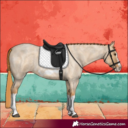 Horse Color:Red Dun Roan Splash Frame Rabicano 