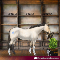 Horse Color:Buckskin Roan Tobiano 