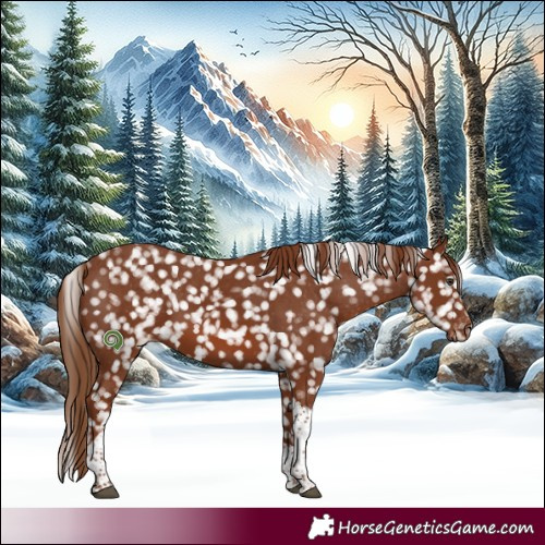 Horse Color:Chestnut Tobiano Snowflake Varnish