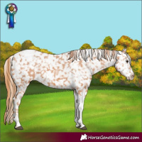 Horse Color:Chestnut Tobiano Snowflake Varnish