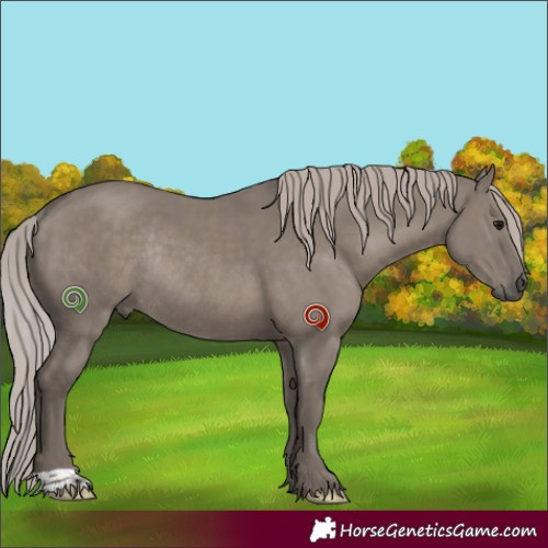 Horse Color:Silver Grullo Rabicano