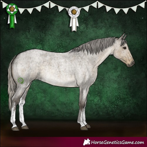 Horse Color:White Spotted Silver Smoky Grullo Roan Rabicano 
