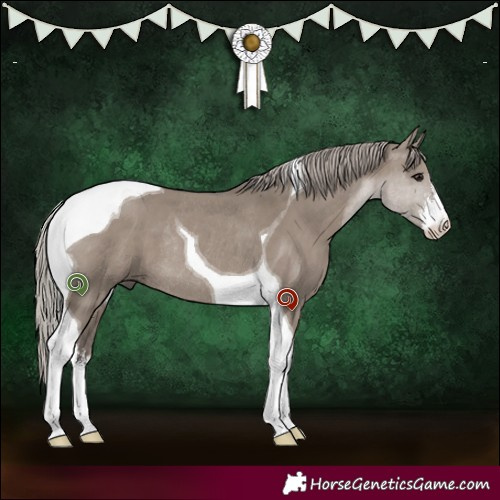 Horse Color:White Spotted Silver Grullo Tobiano Rabicano 
