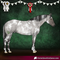 Horse Color:White Spotted Smoky Grullo Roan Rabicano