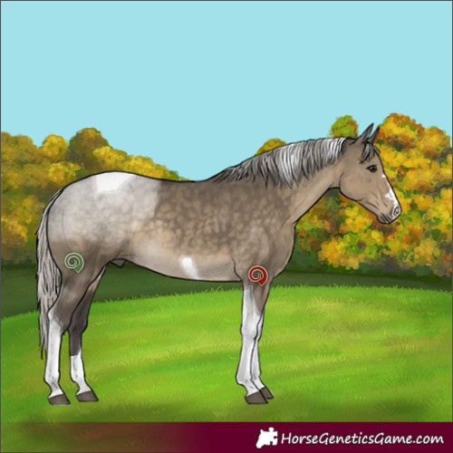 Horse Color:Silver Smoky Grullo Tobiano Rabicano 