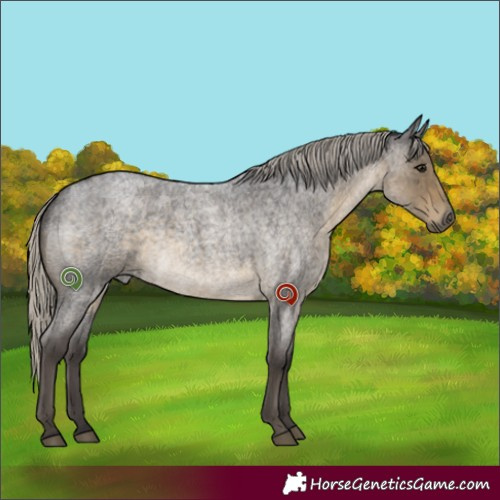 Horse Color:White Spotted Silver Smoky Blue Roan Rabicano 