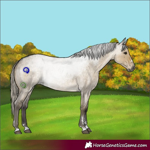 Horse Color:Silver Smoky Grullo Roan Rabicano 