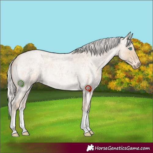 Horse Color:White Spotted Silver Smoky Creme Roan Rabicano