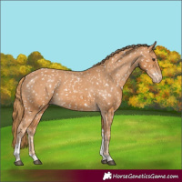 Horse Color:Chestnut Tobiano Snowflake Varnish