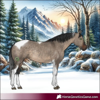 Horse Color:Brown Dun Tobiano Rabicano