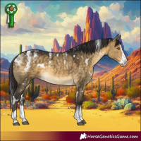 Horse Color:Powder White White Spotted Buckskin Dun Splash Rabicano