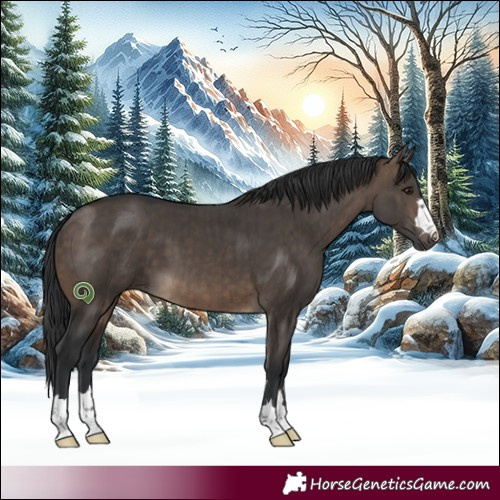 Horse Color:Brown Dun Brindle
