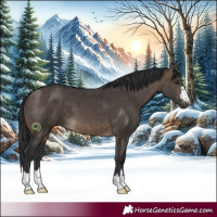 Horse Color:Brown Dun Brindle