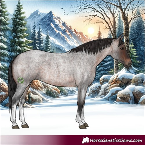 Horse Color:White Spotted Brown Roan Rabicano 