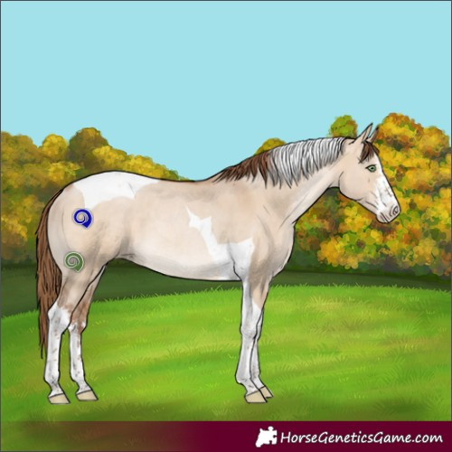 Horse Color:White Spotted Brown Pearl Dun Tobiano Rabicano