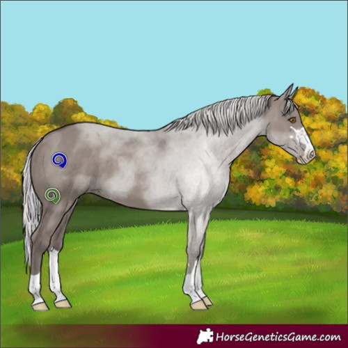 Horse Color:Platinum Silver Grullo 