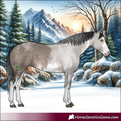 Horse Color:White Spotted Brown Dun 