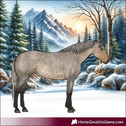 Horse Color:Silver Smoky Grullo Roan Rabicano 