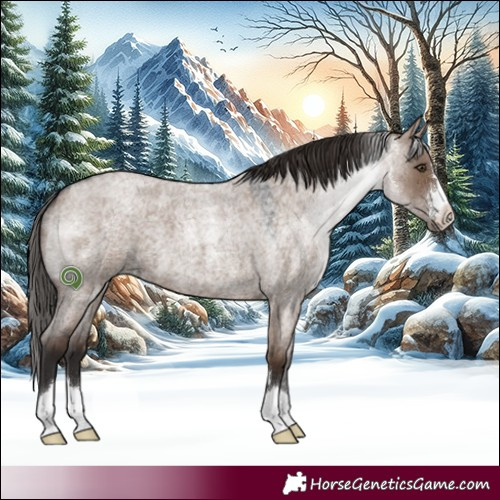 Horse Color:Liver Red Dun Roan 