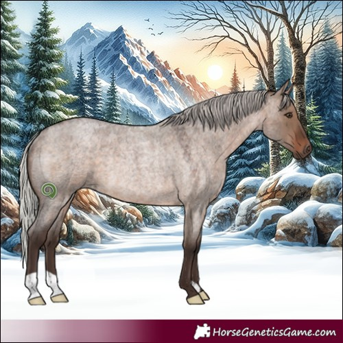 Horse Color:Silver Brown Roan Dun Rabicano 