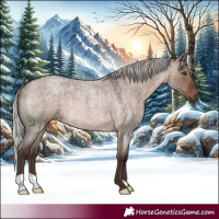Horse Color:Silver Brown Roan Dun Rabicano