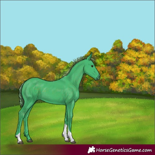 Horse Color:Watercolor Liver Chestnut Tobiano 