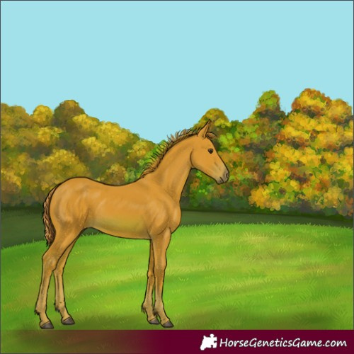 Horse Color:Watercolor Chestnut 