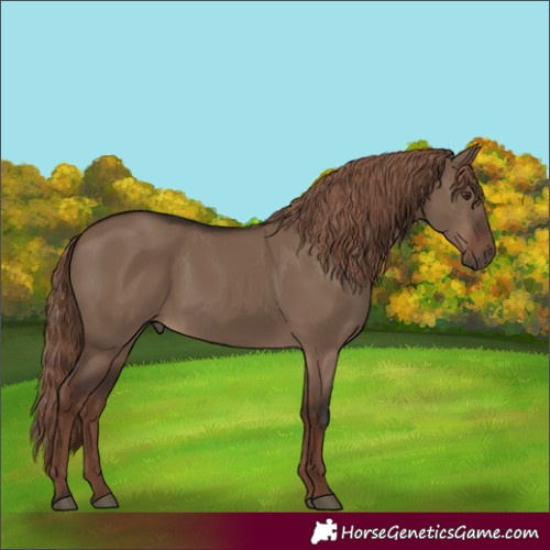 Horse Color:Liver Red Dun Rabicano