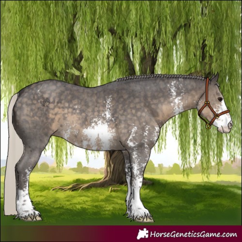 Horse Color:Silver Smoky Black Sabino 
