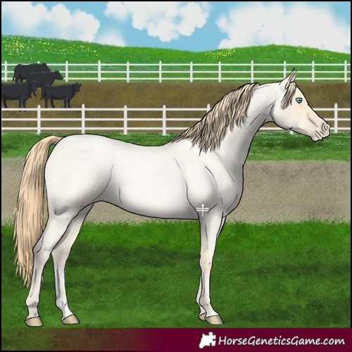 Horse Color:Buckskin Roan Pearl  and Buckskin Roan Pearl 
