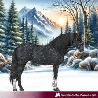 Horse Color:Black Tobiano Snowflake Varnish