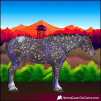 Horse Color:Liver Chestnut Tobiano Snowflake Varnish