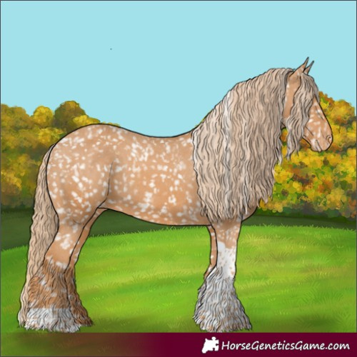 Horse Color:Chestnut Tobiano Snowflake Varnish