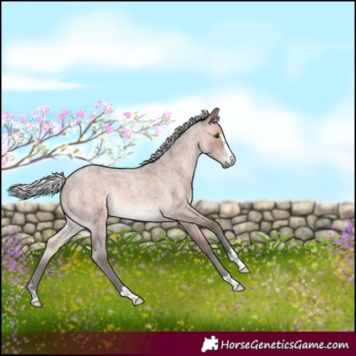 Horse Color:Platinum Silver Brown Roan 