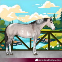 Horse Color:Platinum Bay Dun Sabino Tobiano Rabicano 