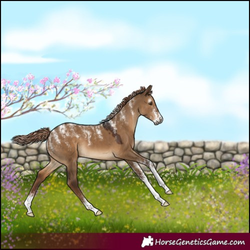 Horse Color:Powder White Gray Liver Red Dun 