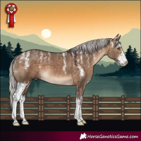 Horse Color:Powder White Silver Brown Dun Sabino 