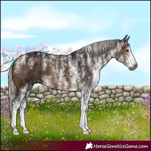 Horse Color:Powder White Gray White Spotted Silver Brown Dun Brindle 