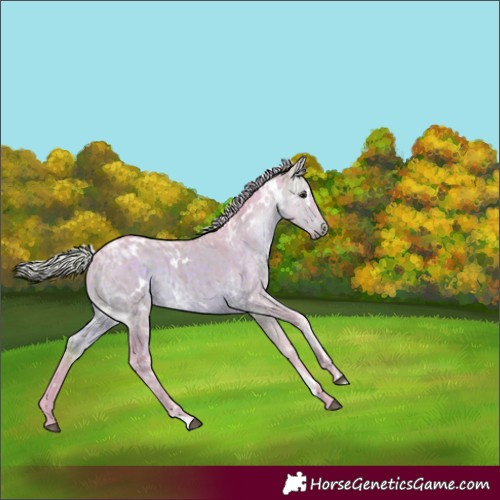 Horse Color:Watercolor White Spotted Silver Brown Ice Dun Brindle 