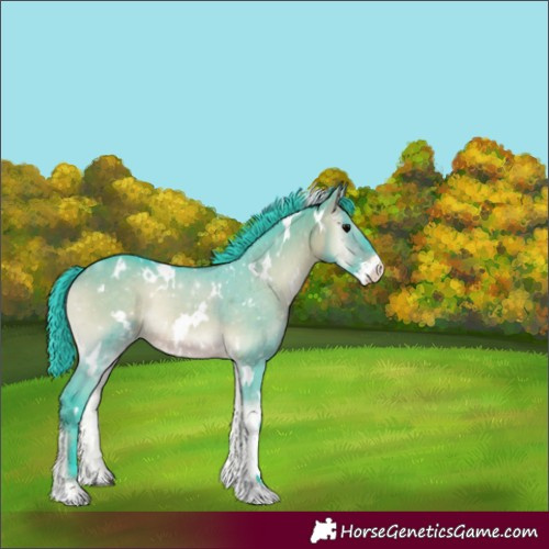 Horse Color:Watercolor White Spotted Brown Onyx Sabino 