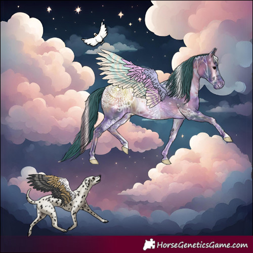 Horse Color:Watercolor White Spotted Brown Onyx 