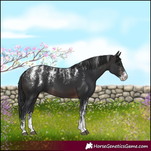 Horse Color:Powder White Brown 